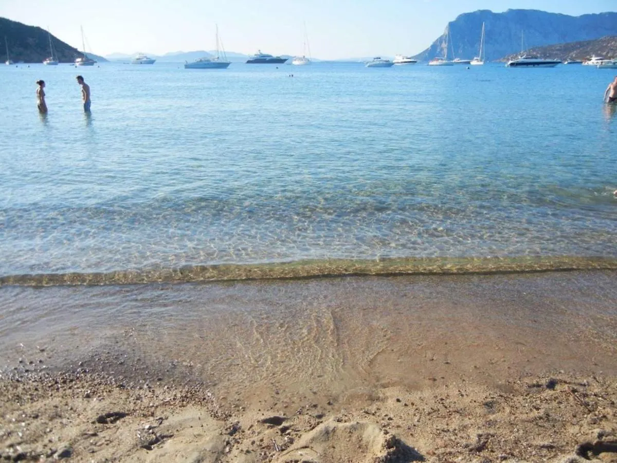 Residence L'Uliveto Budoni Holiday home